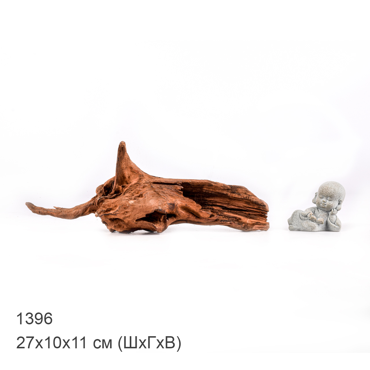 Коряга MASHA BLOOM "Железное дерево" затонувшая мангровая M - 1396