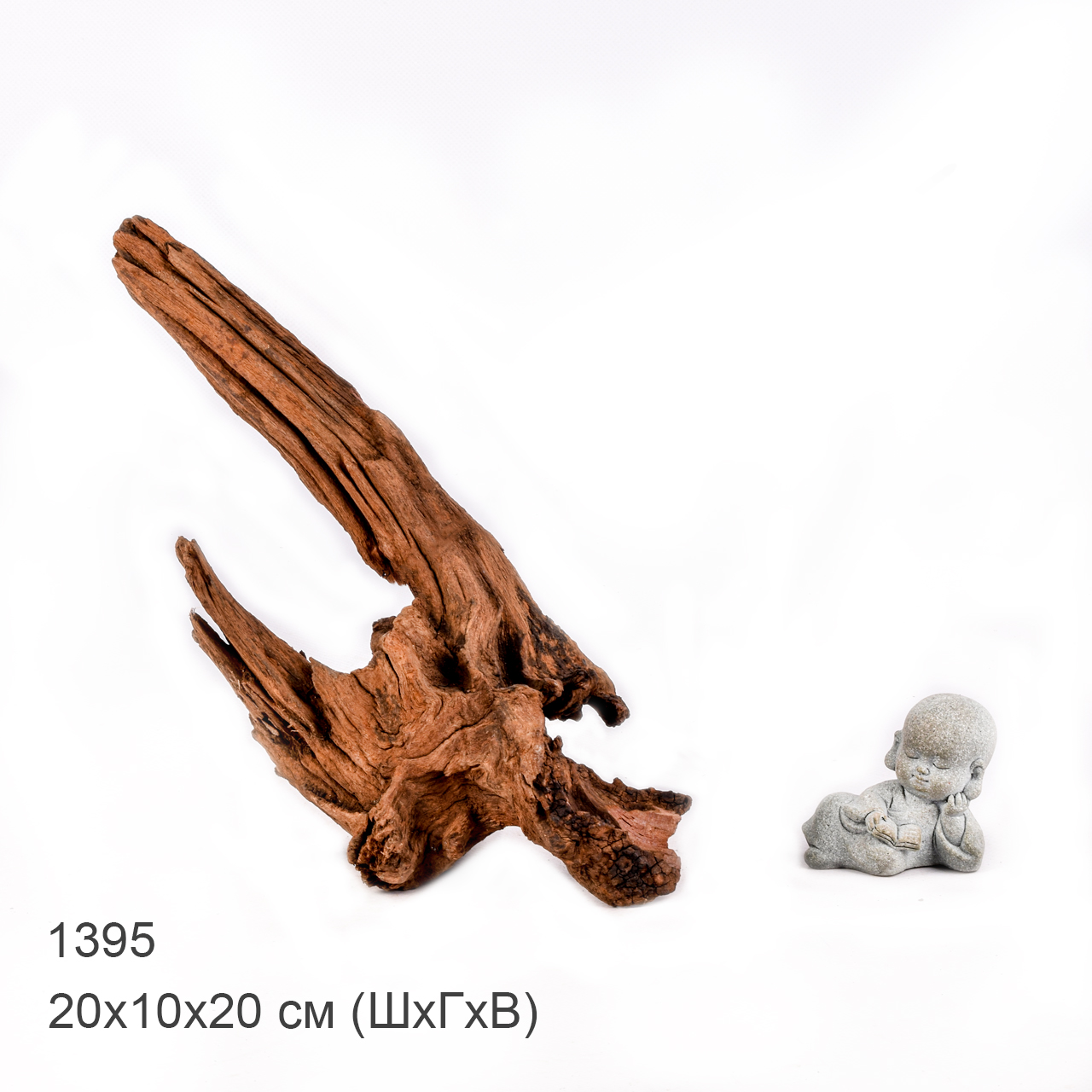 Коряга MASHA BLOOM "Железное дерево" затонувшая мангровая M - 1395