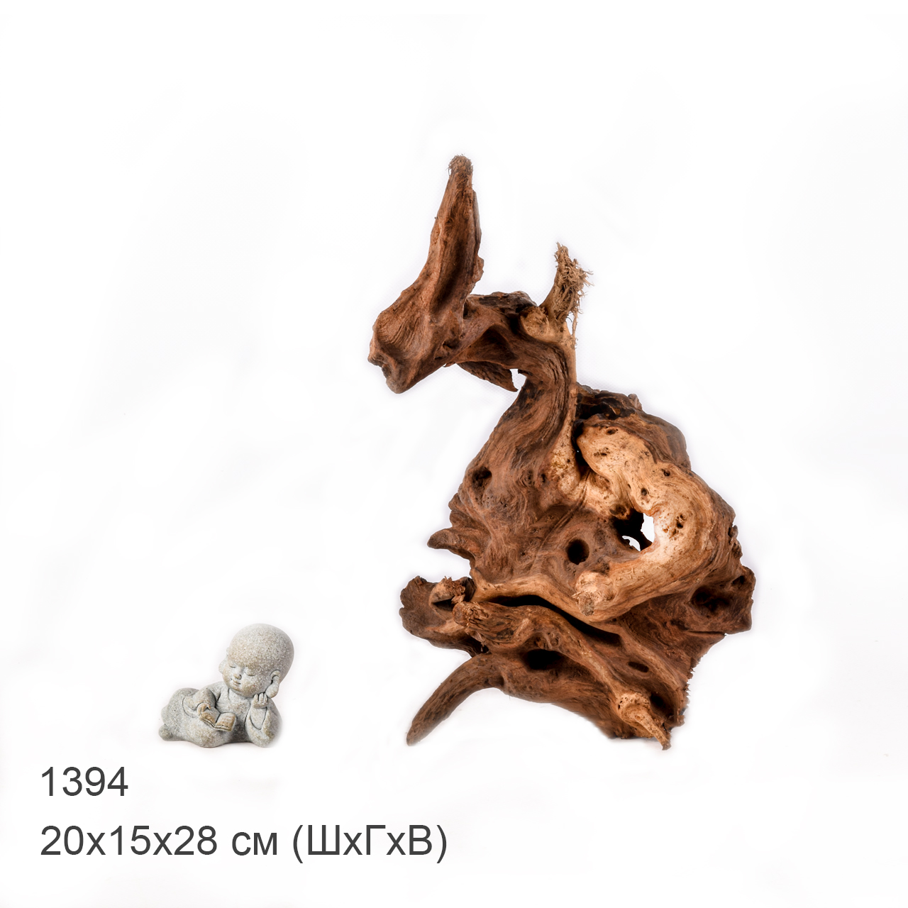 Коряга MASHA BLOOM "Железное дерево" затонувшая мангровая M - 1394