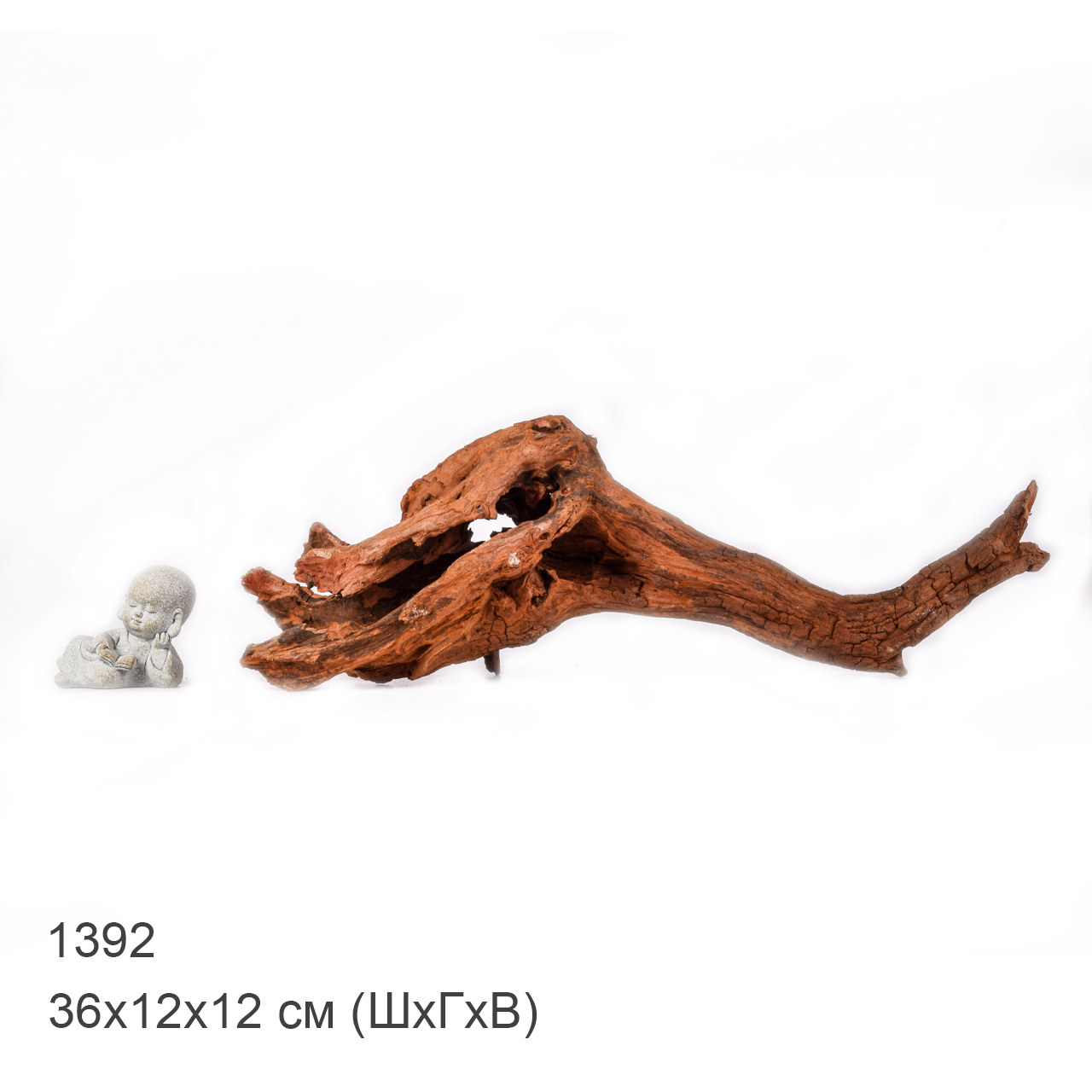 Коряга MASHA BLOOM "Железное дерево" затонувшая мангровая M - 1392