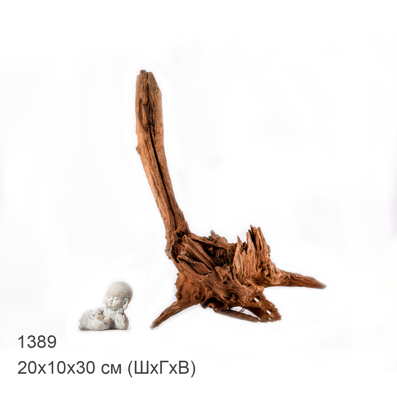 Коряга MASHA BLOOM "Железное дерево" затонувшая мангровая M - 1389