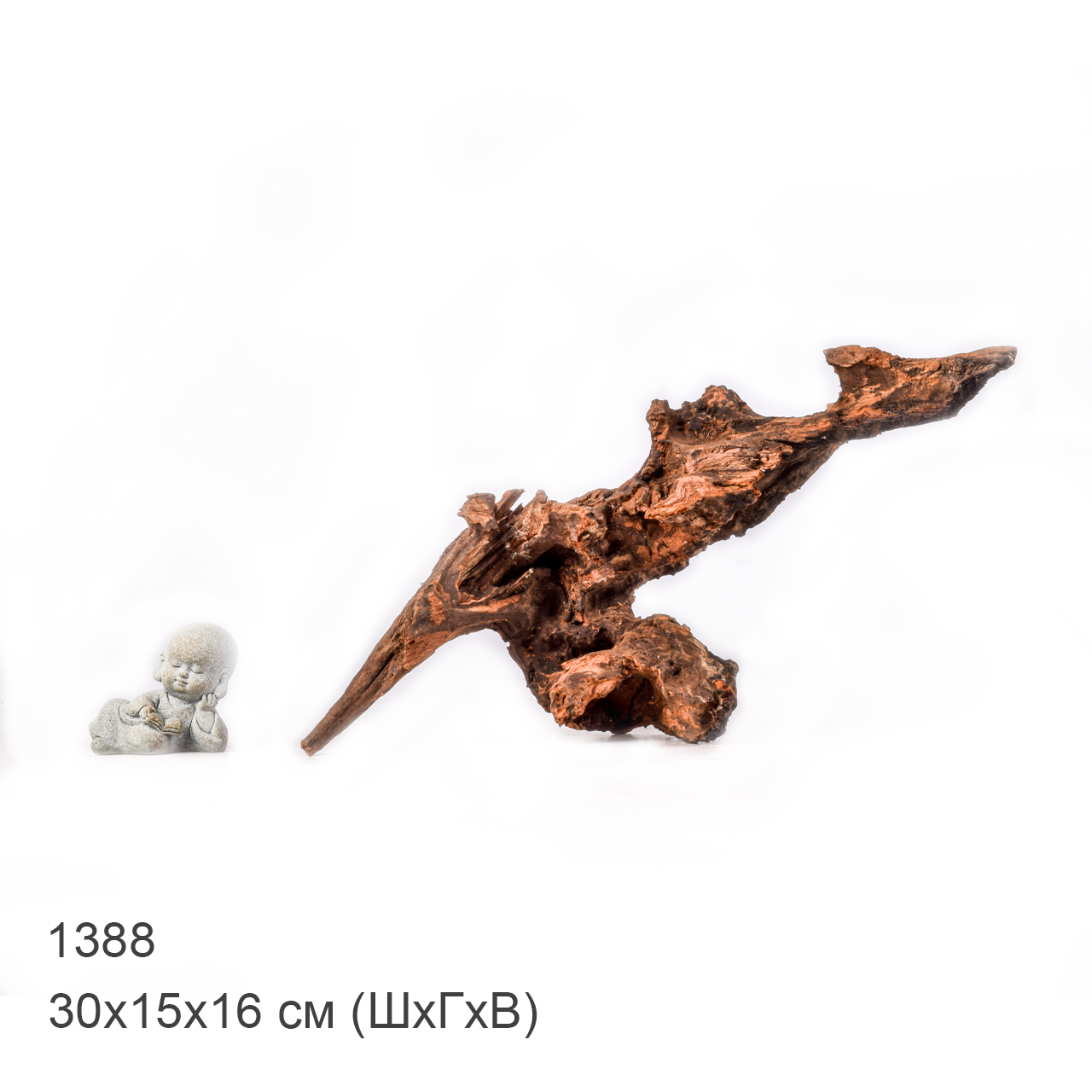 Коряга MASHA BLOOM "Железное дерево" затонувшая мангровая M - 1388