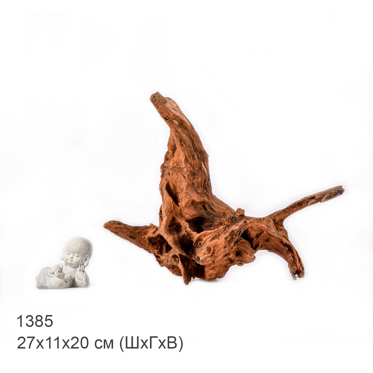 Коряга MASHA BLOOM "Железное дерево" затонувшая мангровая M - 1385