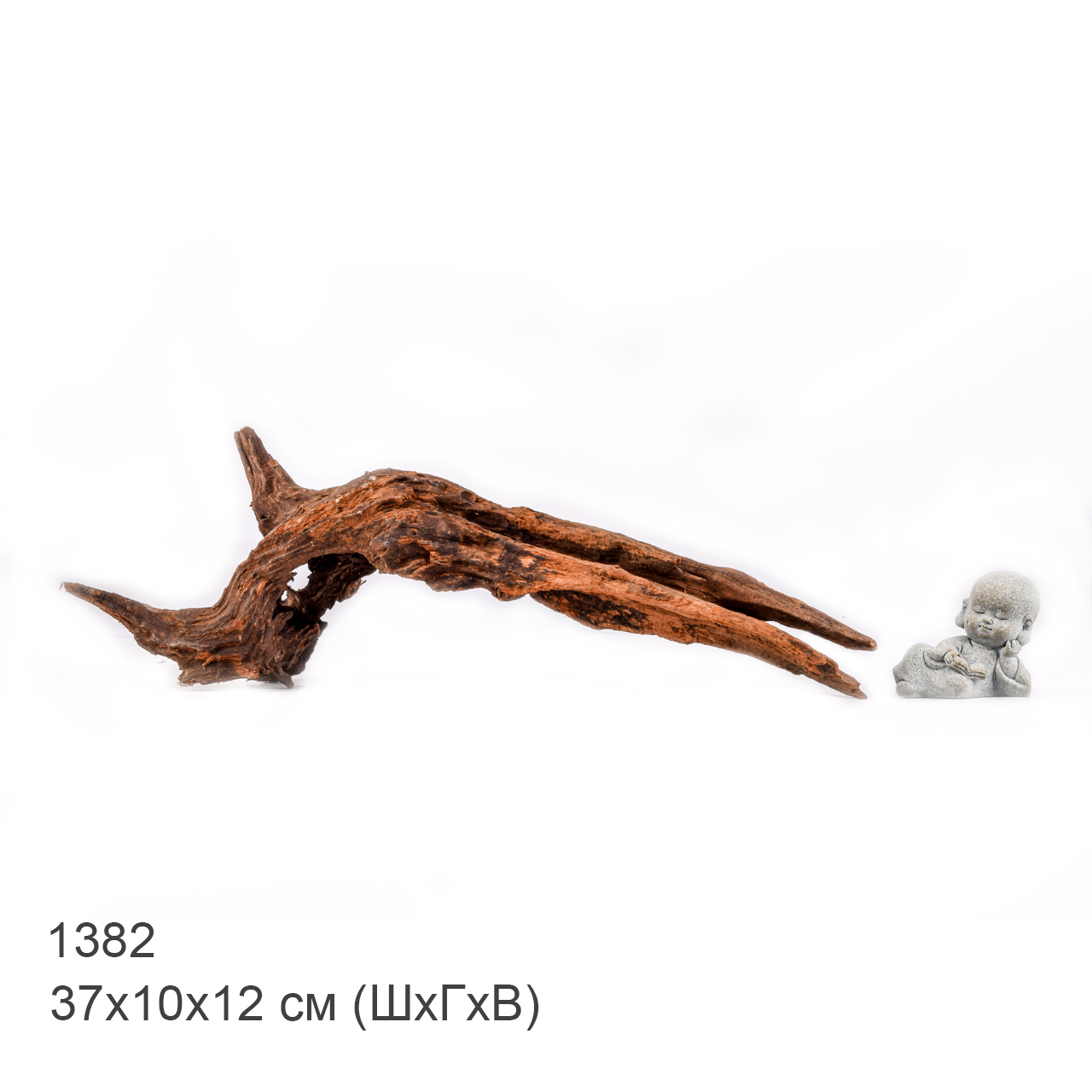 Коряга MASHA BLOOM "Железное дерево" затонувшая мангровая M - 1382