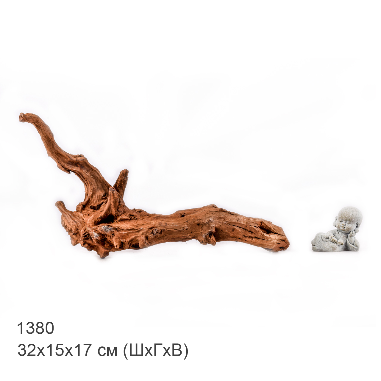 Коряга MASHA BLOOM "Железное дерево" затонувшая мангровая M - 1380