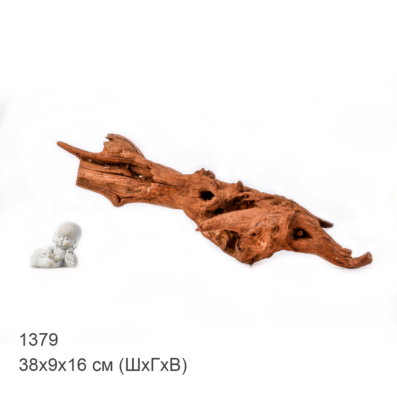 Коряга MASHA BLOOM "Железное дерево" затонувшая мангровая M - 1379