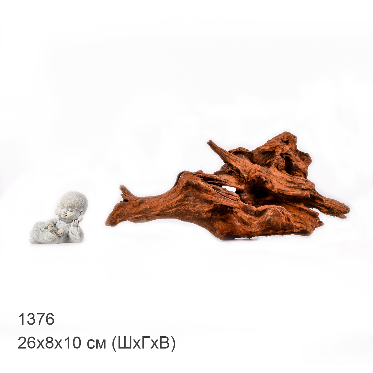 Коряга MASHA BLOOM "Железное дерево" затонувшая мангровая M - 1376