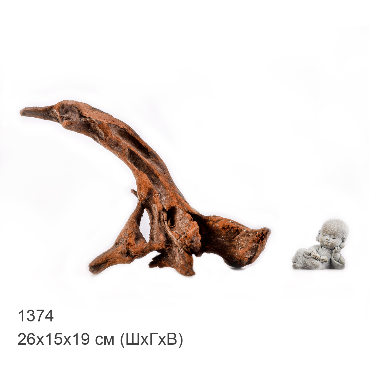 Коряга MASHA BLOOM "Железное дерево" затонувшая мангровая M - 1374