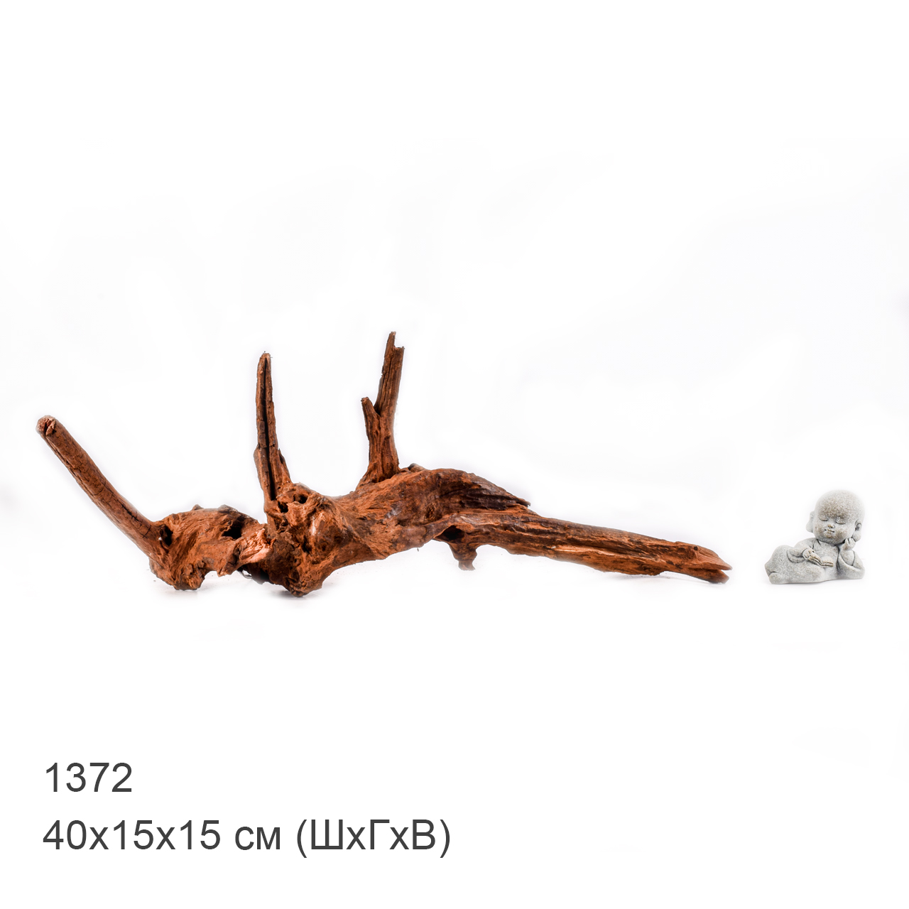 Коряга MASHA BLOOM "Железное дерево" затонувшая мангровая M - 1372