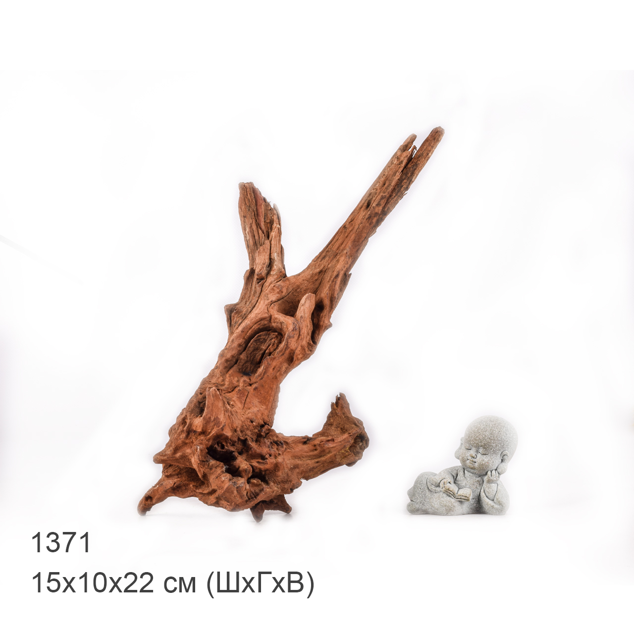 Коряга MASHA BLOOM "Железное дерево" затонувшая мангровая M - 1371