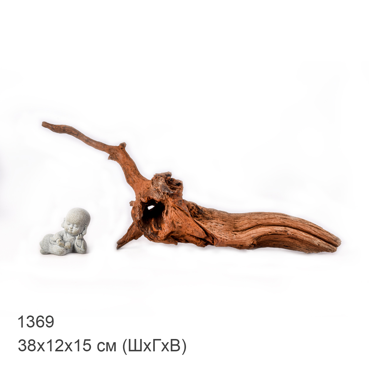 Коряга MASHA BLOOM "Железное дерево" затонувшая мангровая M - 1369