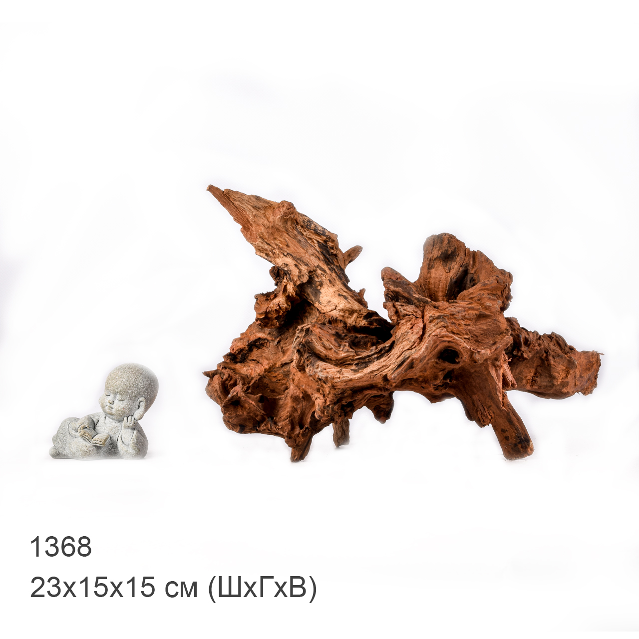 Коряга MASHA BLOOM "Железное дерево" затонувшая мангровая M - 1368