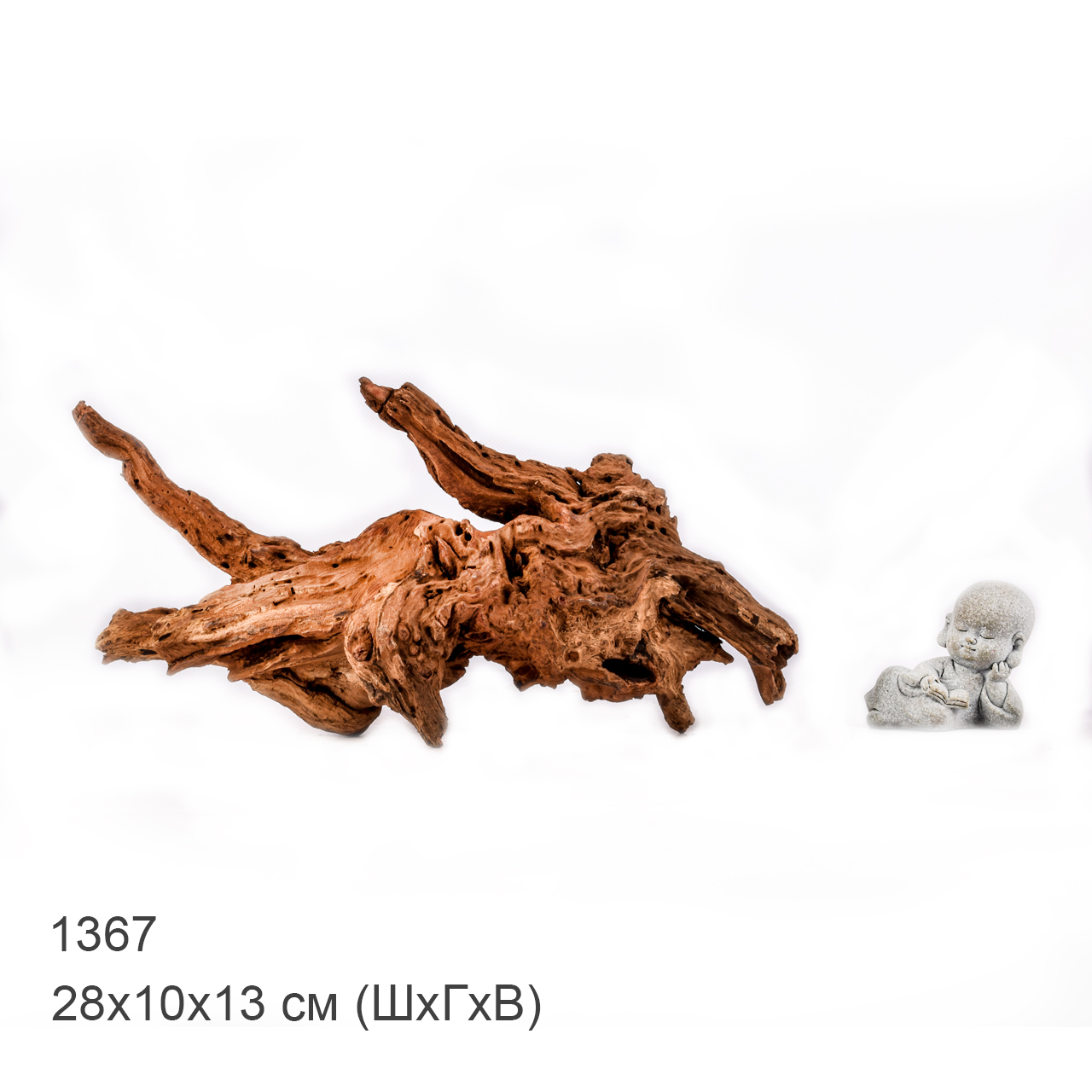 Коряга MASHA BLOOM "Железное дерево" затонувшая мангровая M - 1367