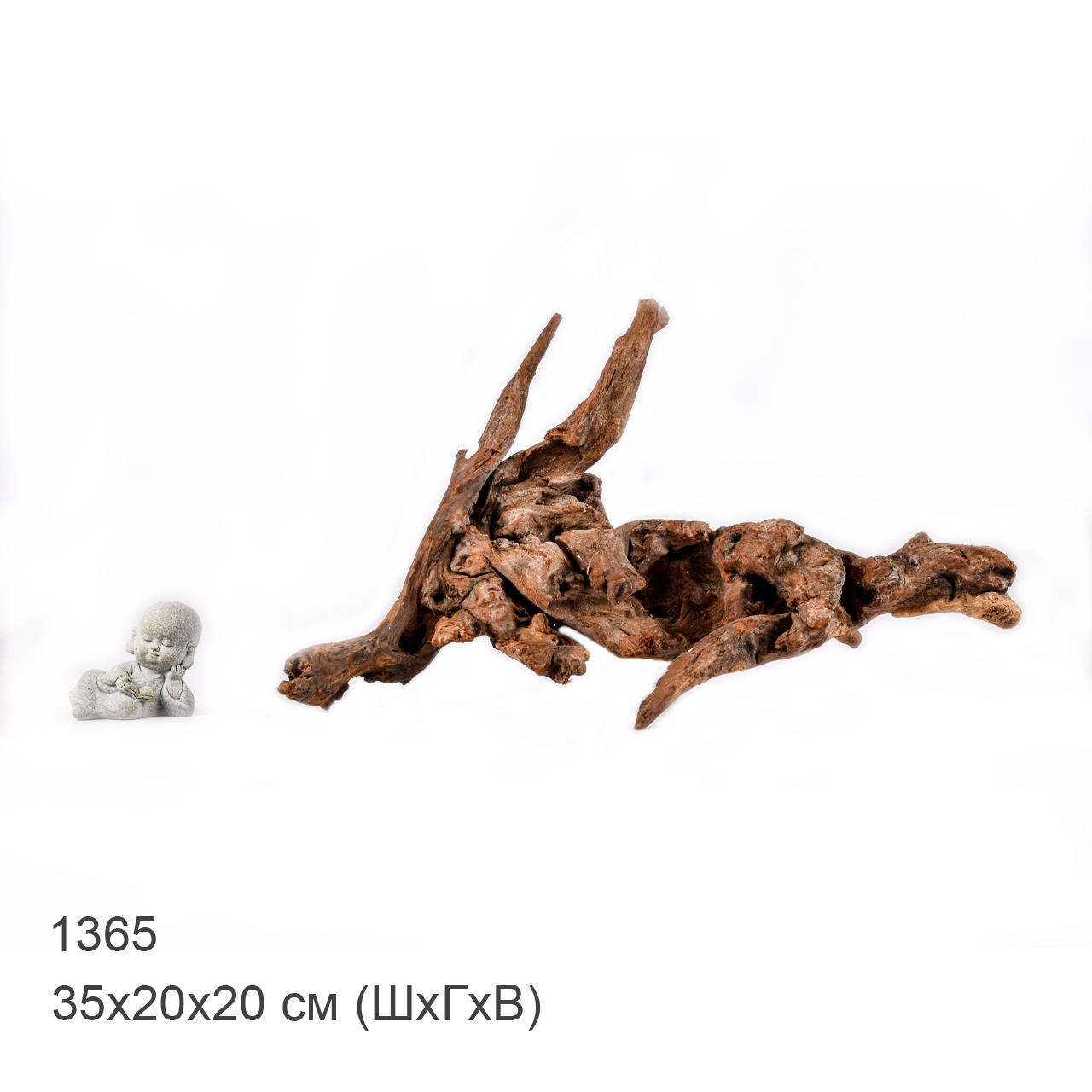 Коряга MASHA BLOOM "Железное дерево" затонувшая мангровая M - 1365