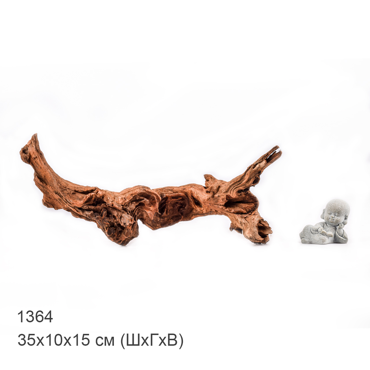 Коряга MASHA BLOOM "Железное дерево" затонувшая мангровая M - 1364