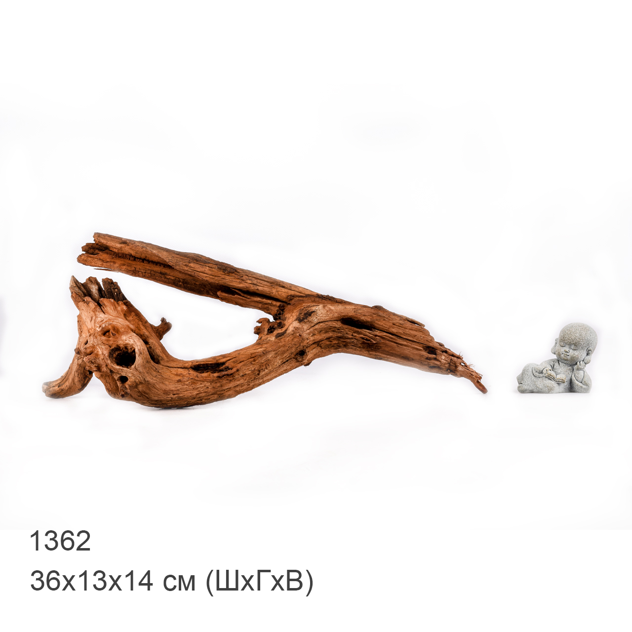 Коряга MASHA BLOOM "Железное дерево" затонувшая мангровая M - 1362