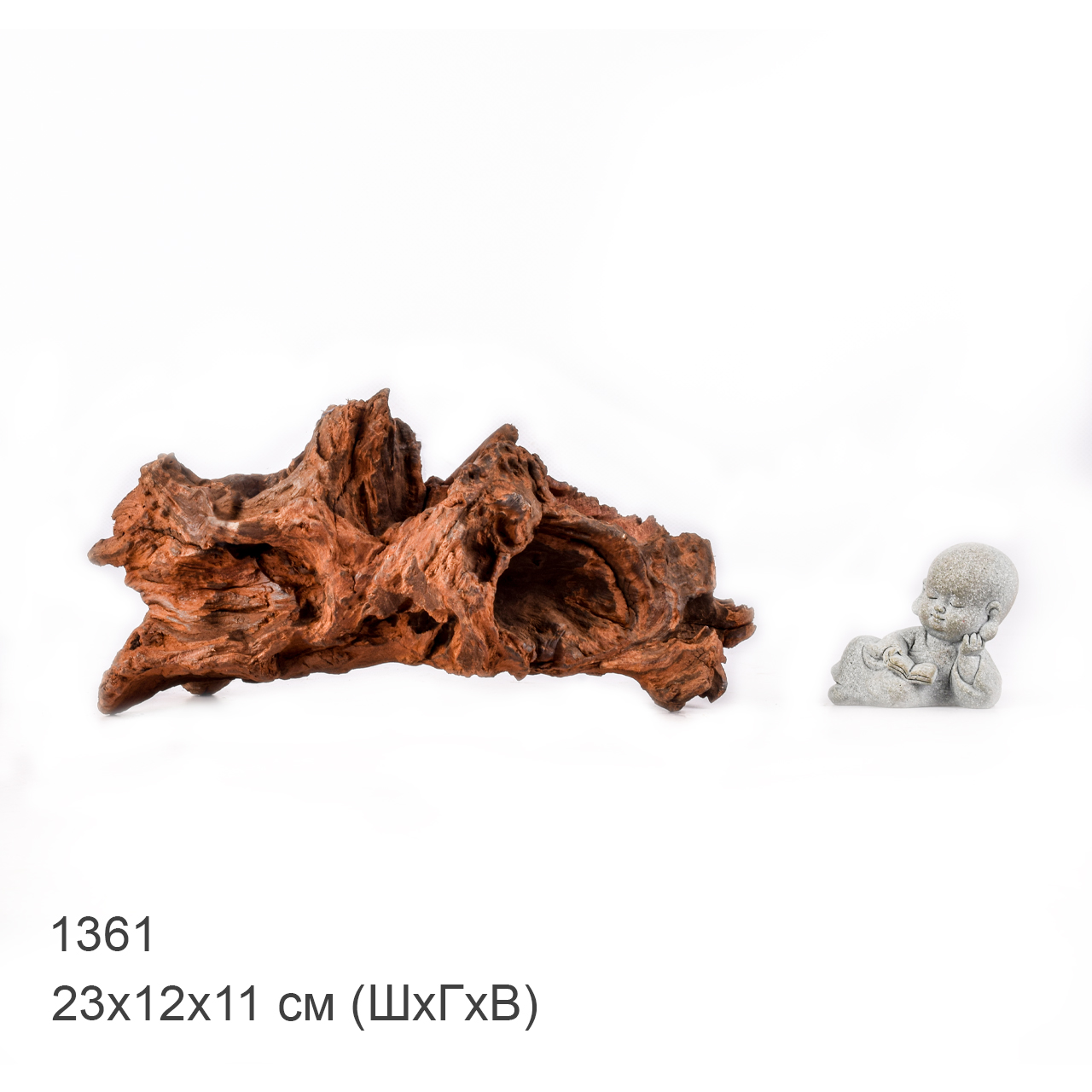 Коряга MASHA BLOOM "Железное дерево" затонувшая мангровая M - 1361