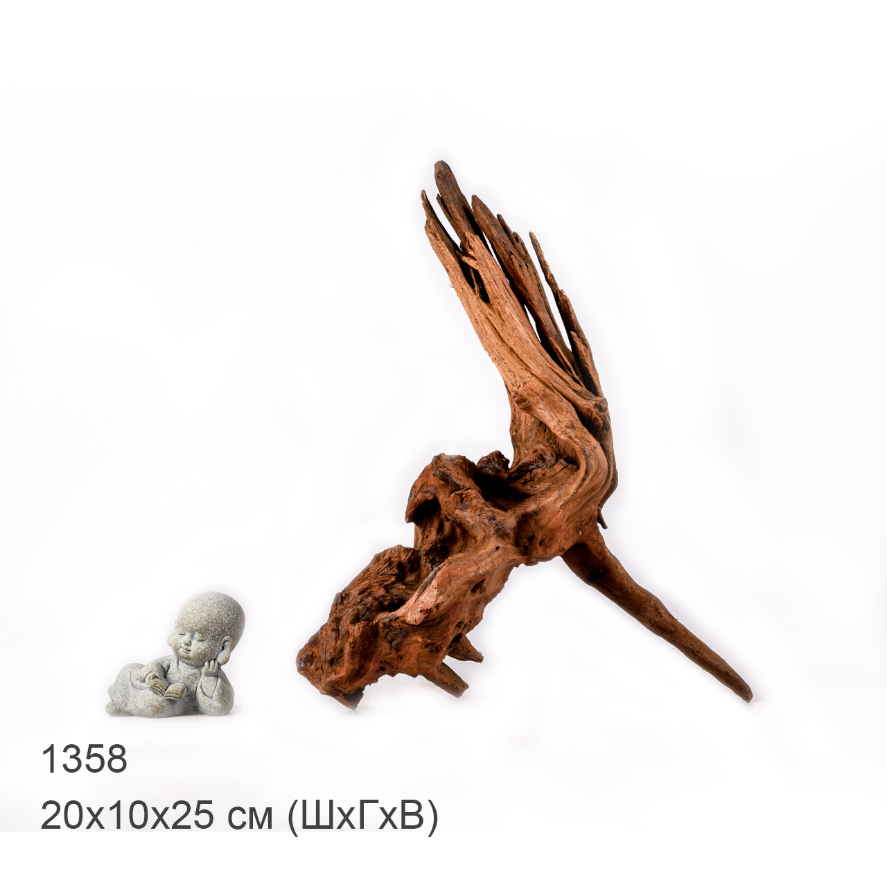 Коряга MASHA BLOOM "Железное дерево" затонувшая мангровая M - 1358