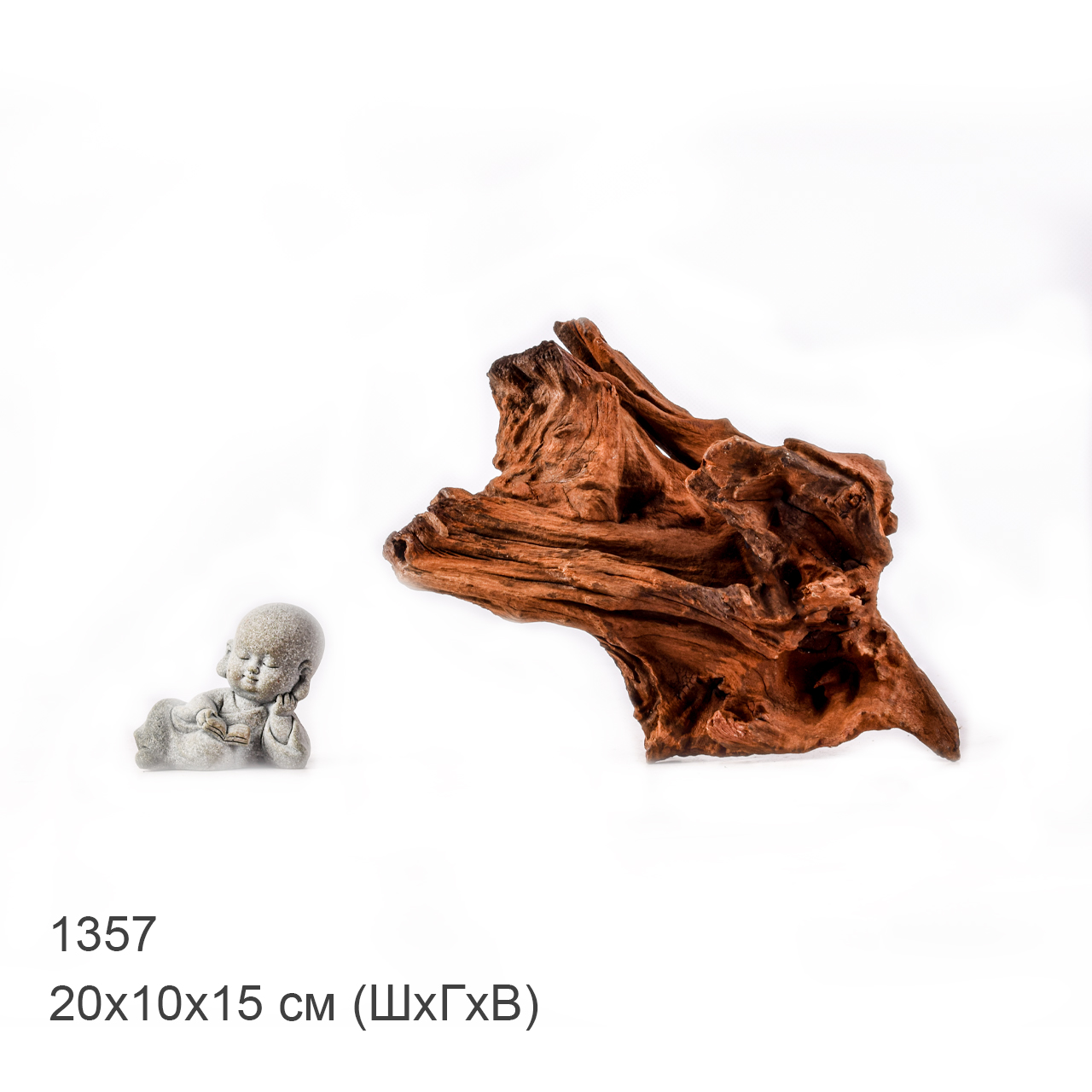 Коряга MASHA BLOOM "Железное дерево" затонувшая мангровая M - 1357