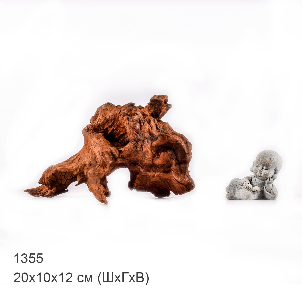 Коряга MASHA BLOOM "Железное дерево" затонувшая мангровая M - 1355