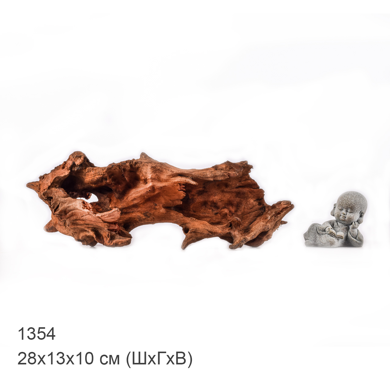 Коряга MASHA BLOOM "Железное дерево" затонувшая мангровая M - 1354