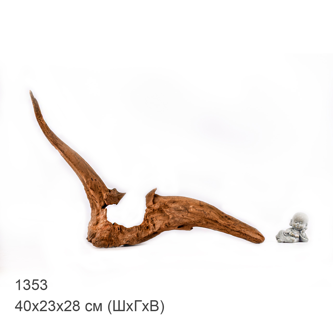 Коряга MASHA BLOOM "Железное дерево" затонувшая мангровая M - 1353