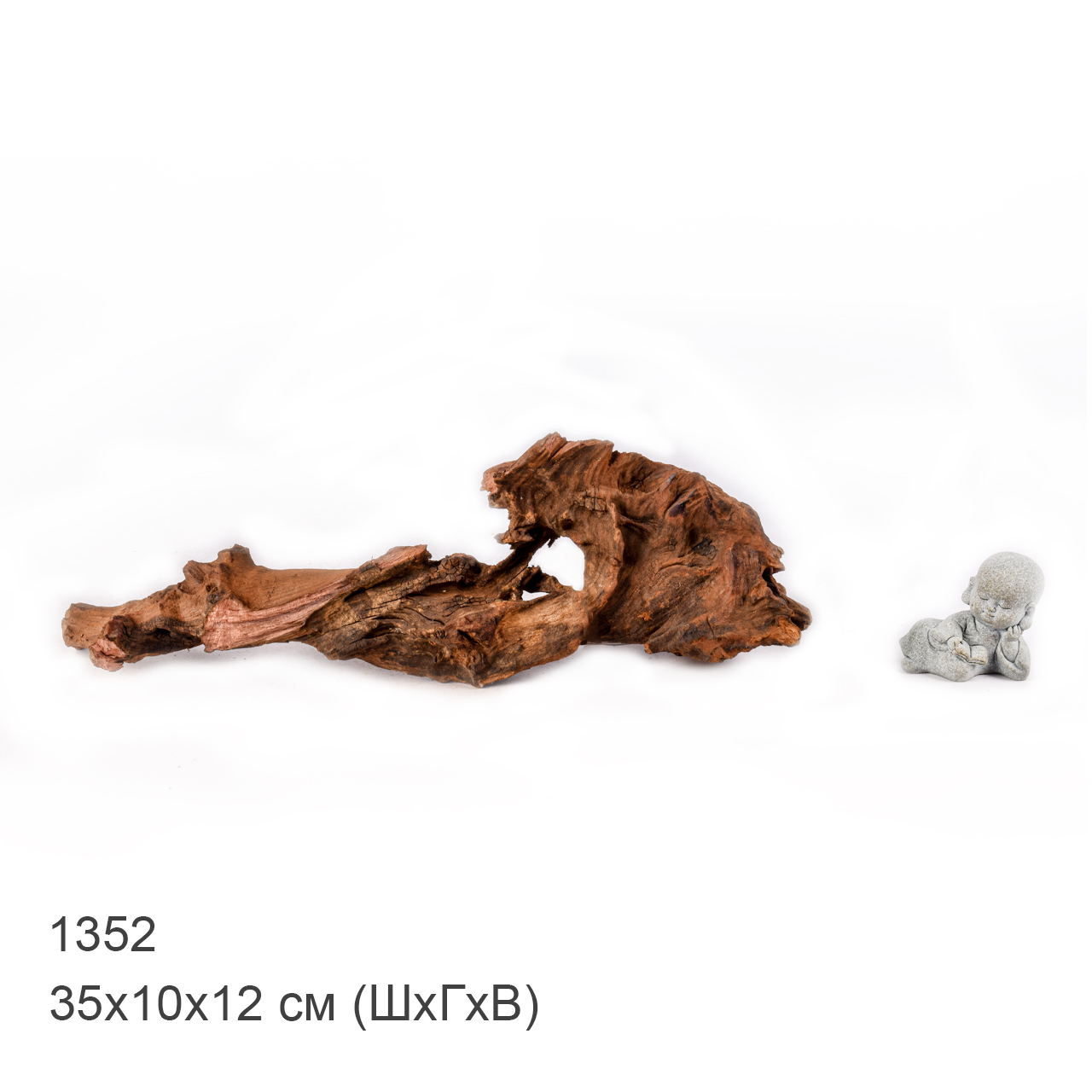 Коряга MASHA BLOOM "Железное дерево" затонувшая мангровая M - 1352