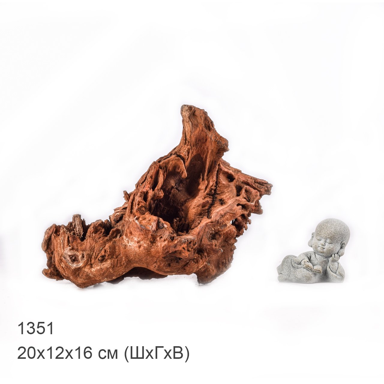 Коряга MASHA BLOOM "Железное дерево" затонувшая мангровая M - 1351