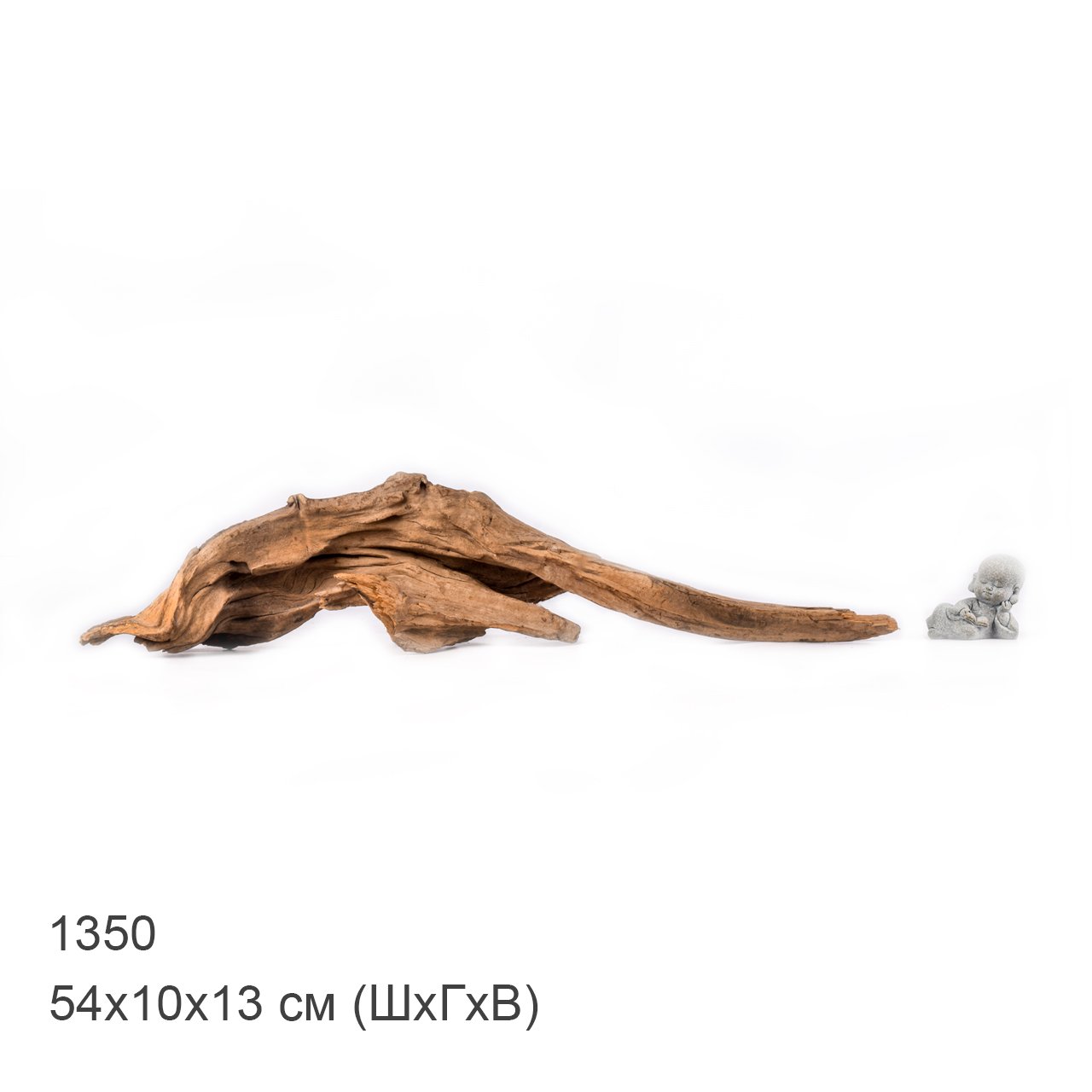 Коряга MASHA BLOOM "Железное дерево" затонувшая мангровая M - 1350