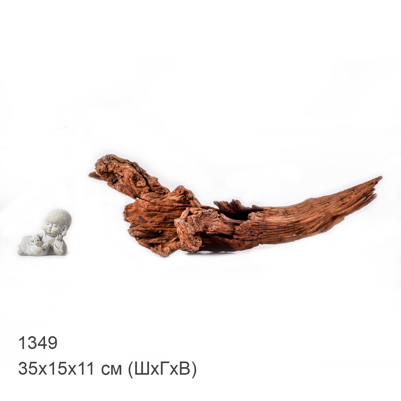 Коряга MASHA BLOOM "Железное дерево" затонувшая мангровая M - 1349