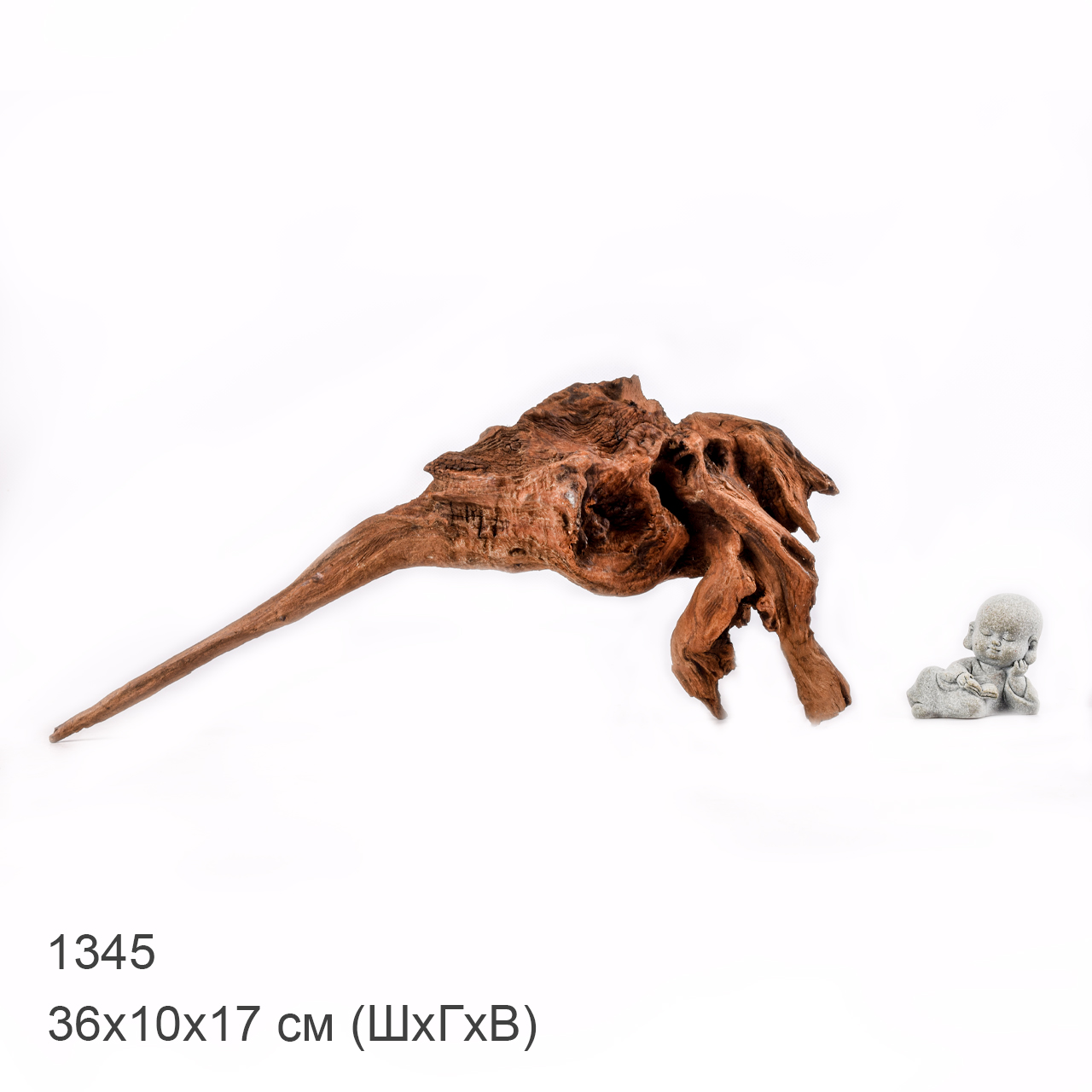 Коряга MASHA BLOOM "Железное дерево" затонувшая мангровая M - 1345