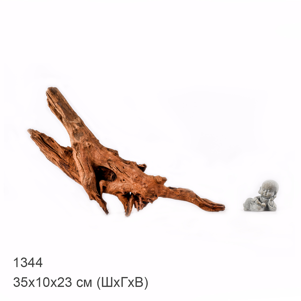 Коряга MASHA BLOOM "Железное дерево" затонувшая мангровая M - 1344