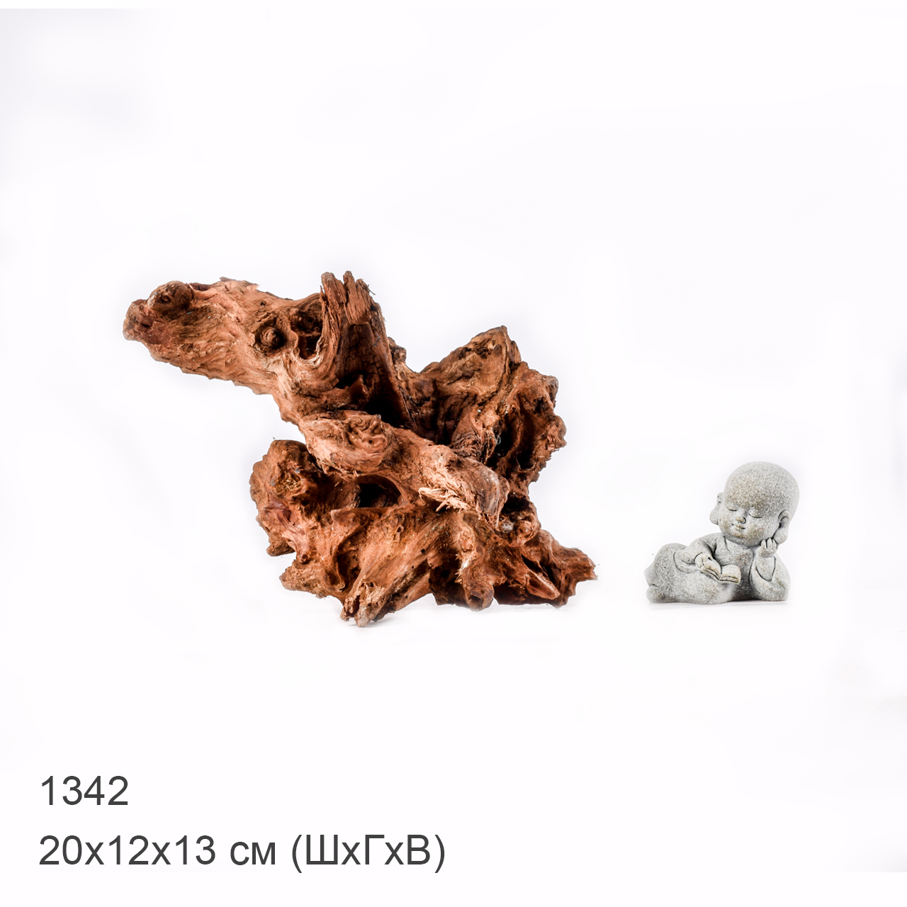 Коряга MASHA BLOOM "Железное дерево" затонувшая мангровая M - 1342