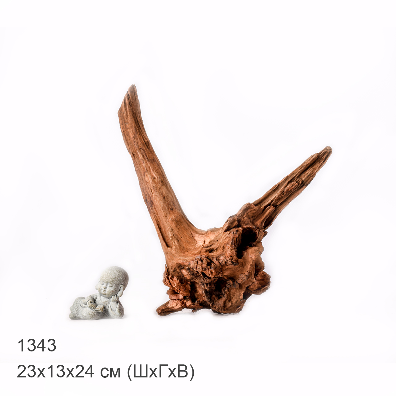 Коряга MASHA BLOOM "Железное дерево" затонувшая мангровая M - 1343