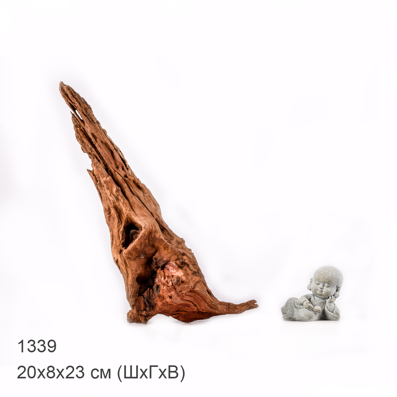 Коряга MASHA BLOOM "Железное дерево" затонувшая мангровая M - 1339