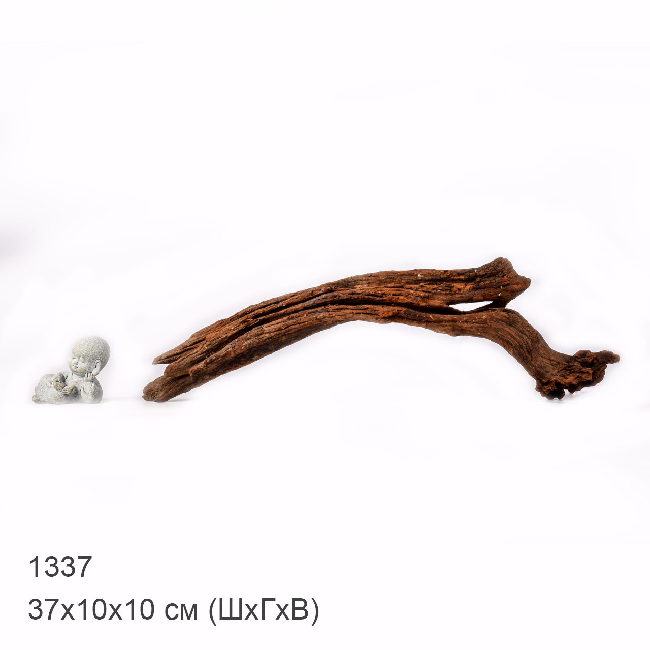 Коряга MASHA BLOOM "Железное дерево" затонувшая мангровая M - 1337