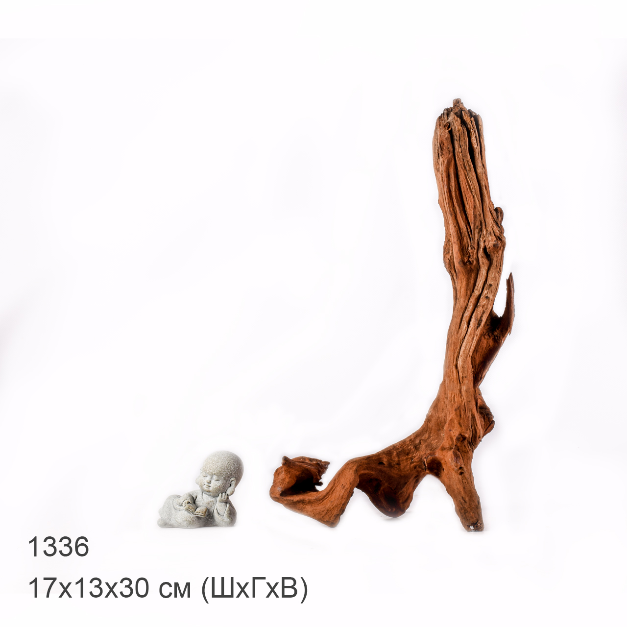 Коряга MASHA BLOOM "Железное дерево" затонувшая мангровая M - 1336