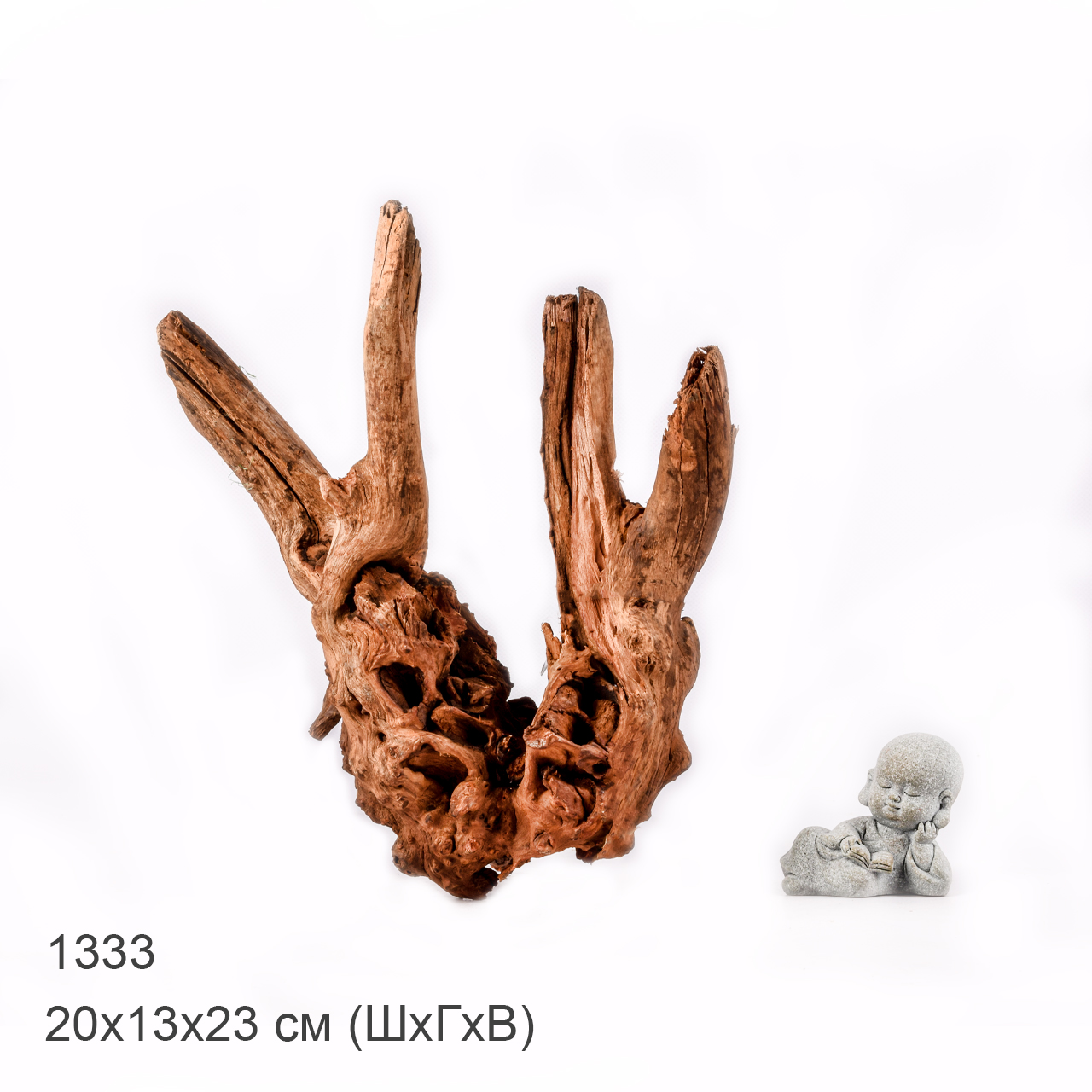 Коряга MASHA BLOOM "Железное дерево" затонувшая мангровая M - 1333