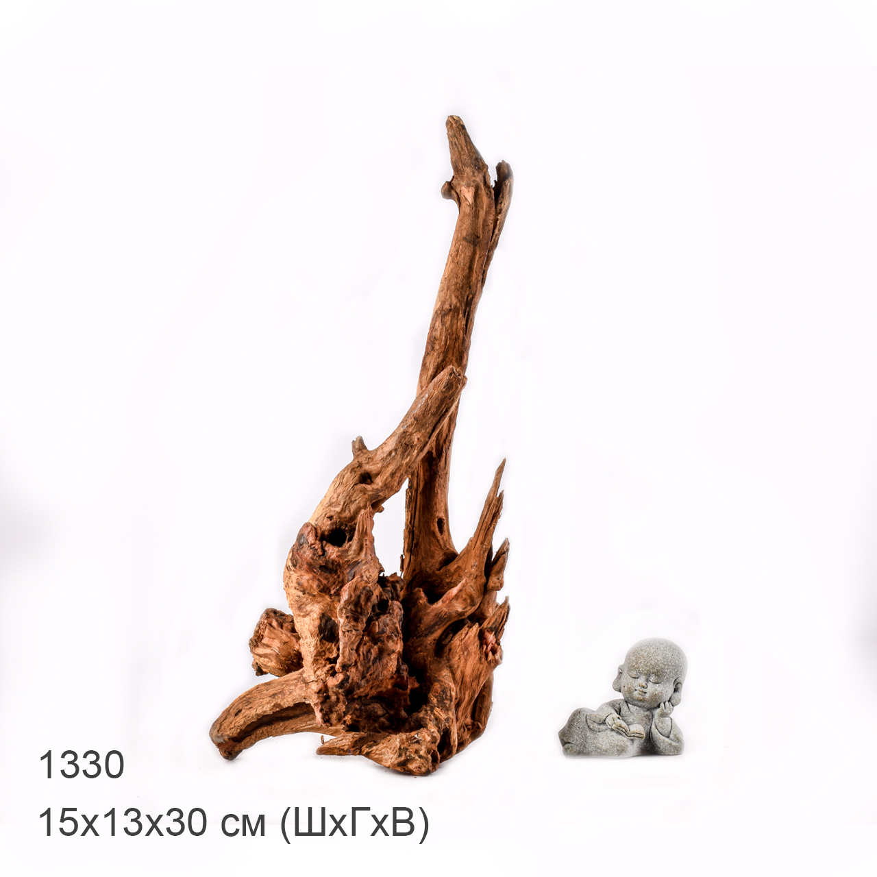Коряга MASHA BLOOM "Железное дерево" затонувшая мангровая M - 1330