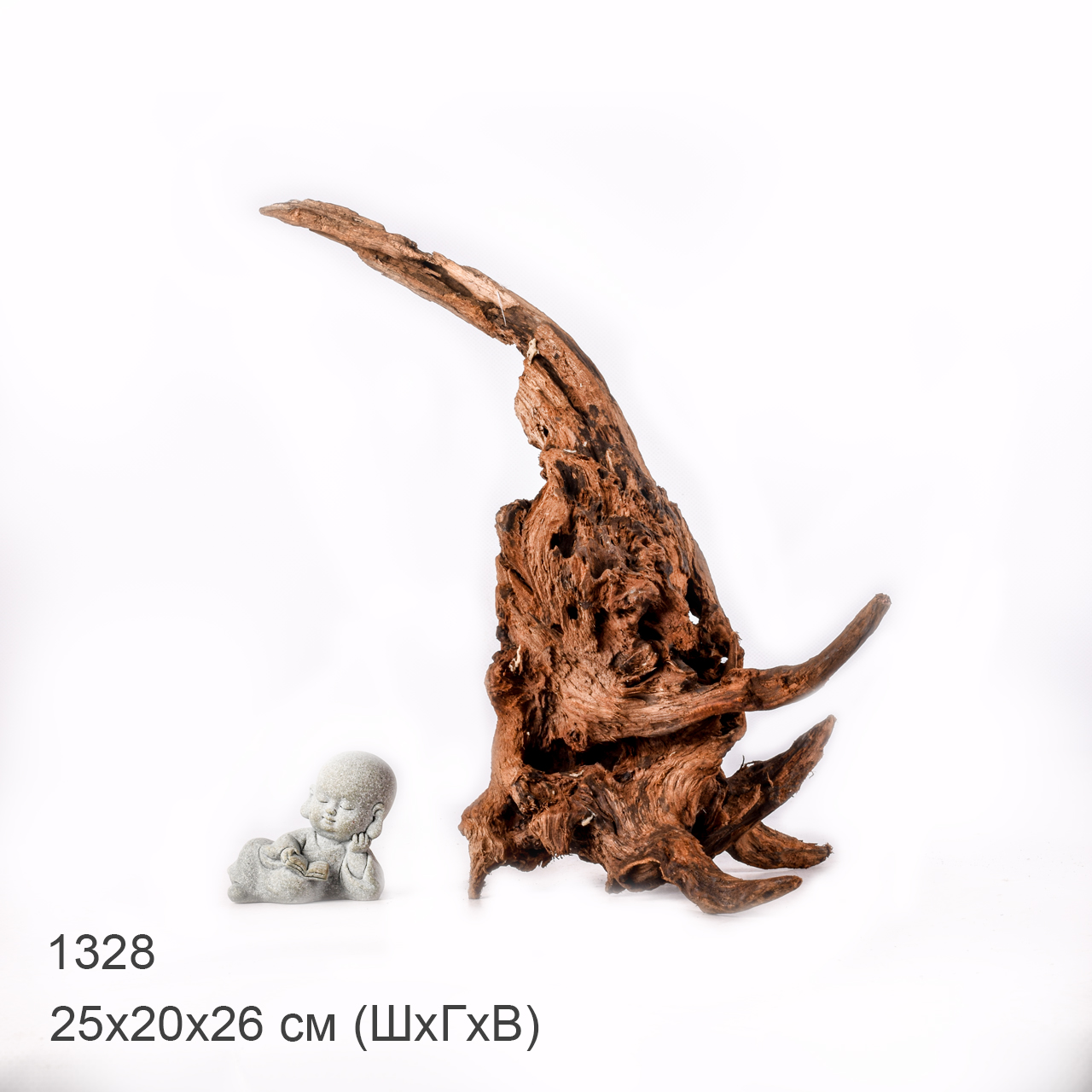 Коряга MASHA BLOOM "Железное дерево" затонувшая мангровая M - 1328