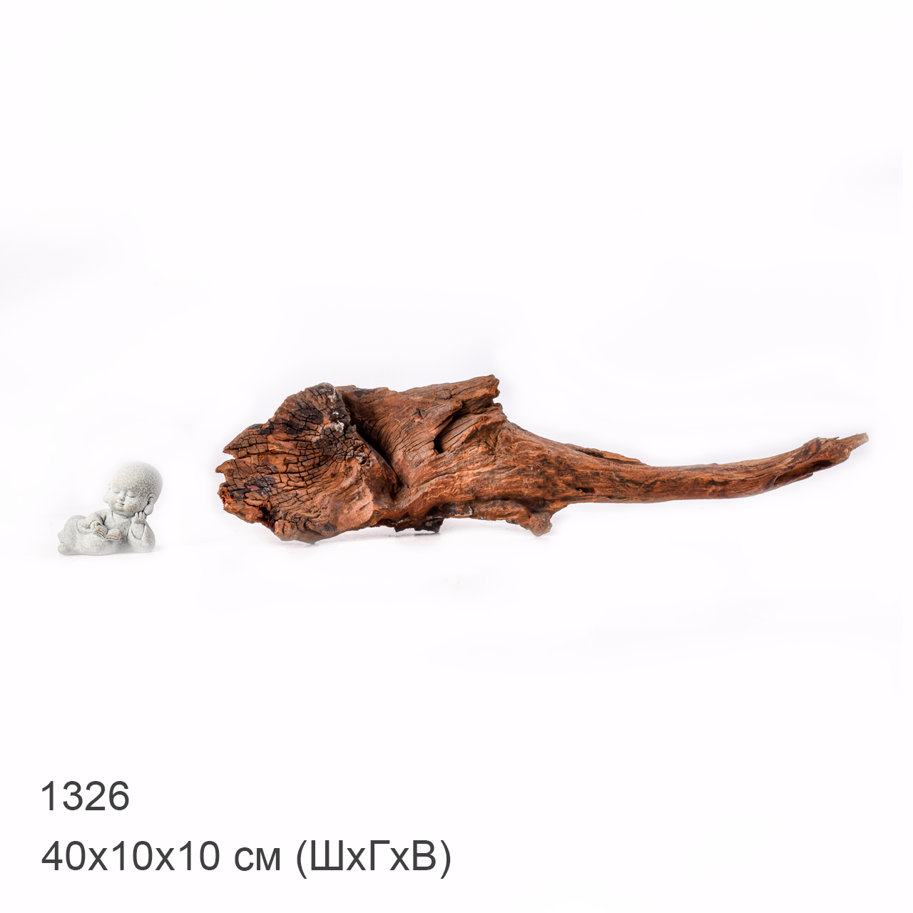 Коряга MASHA BLOOM "Железное дерево" затонувшая мангровая M - 1326