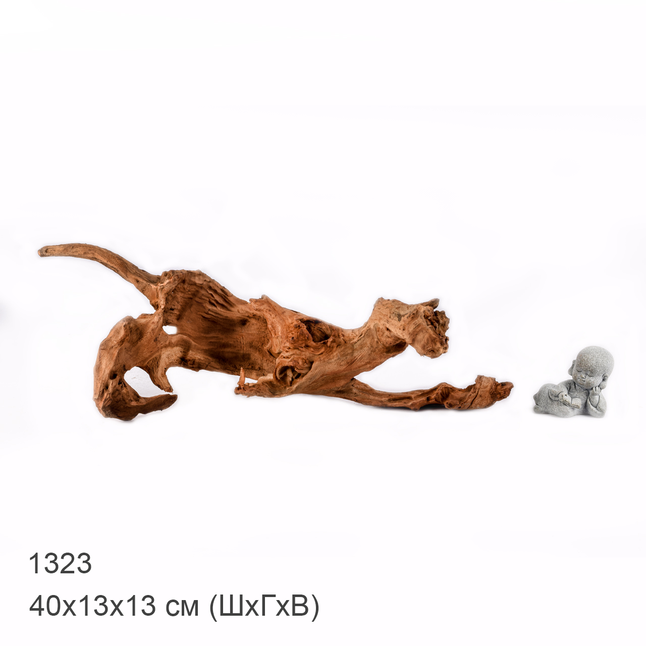 Коряга MASHA BLOOM "Железное дерево" затонувшая мангровая M - 1323