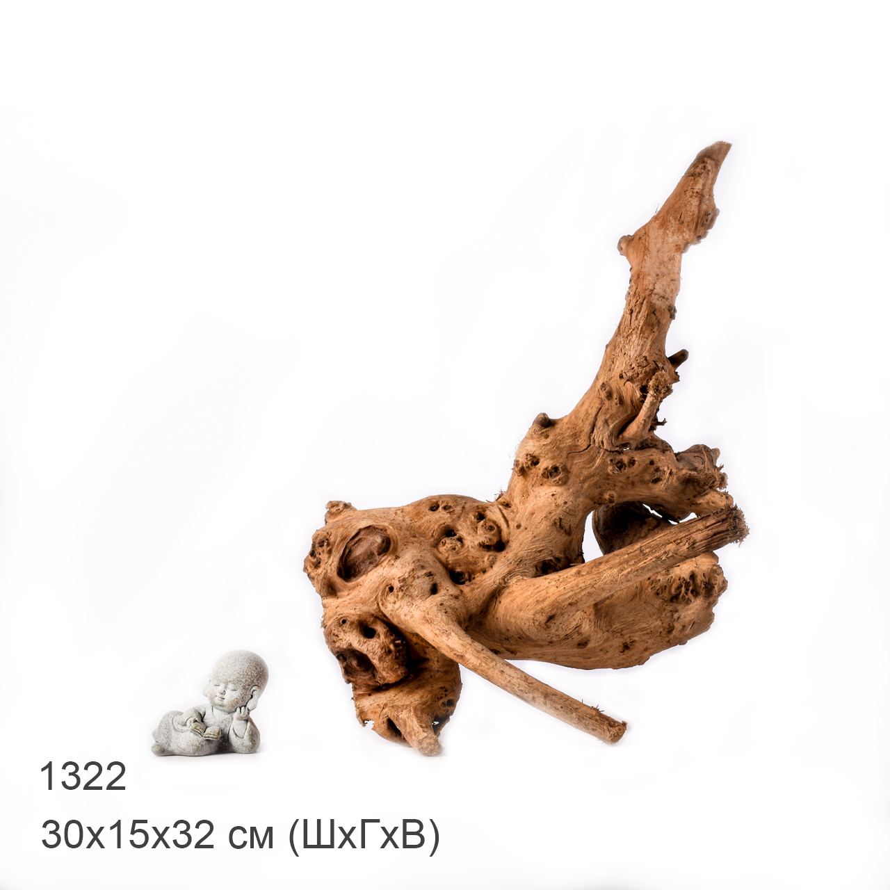 Коряга MASHA BLOOM "Железное дерево" затонувшая мангровая M - 1322
