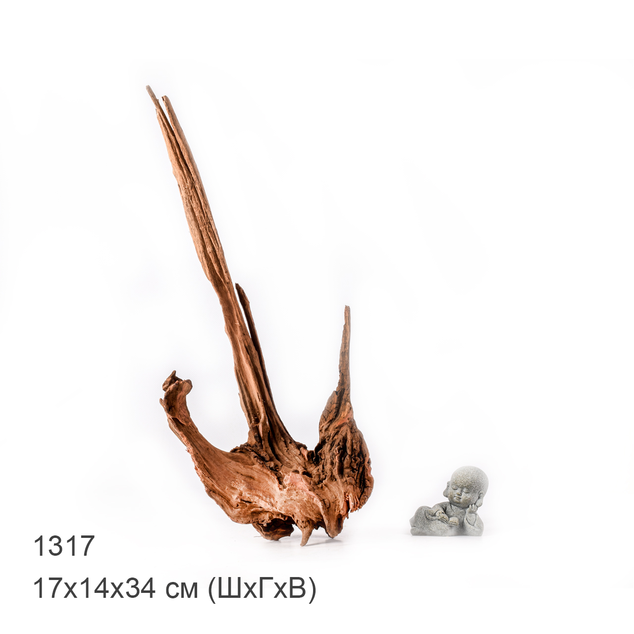 Коряга MASHA BLOOM "Железное дерево" затонувшая мангровая M - 1317