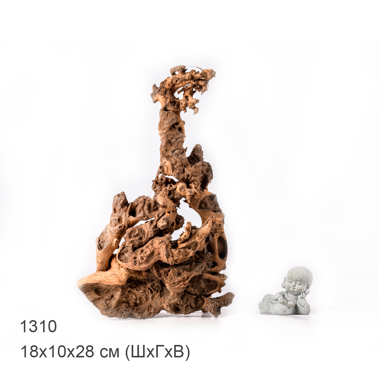 Коряга MASHA BLOOM "Железное дерево" затонувшая мангровая M - 1310