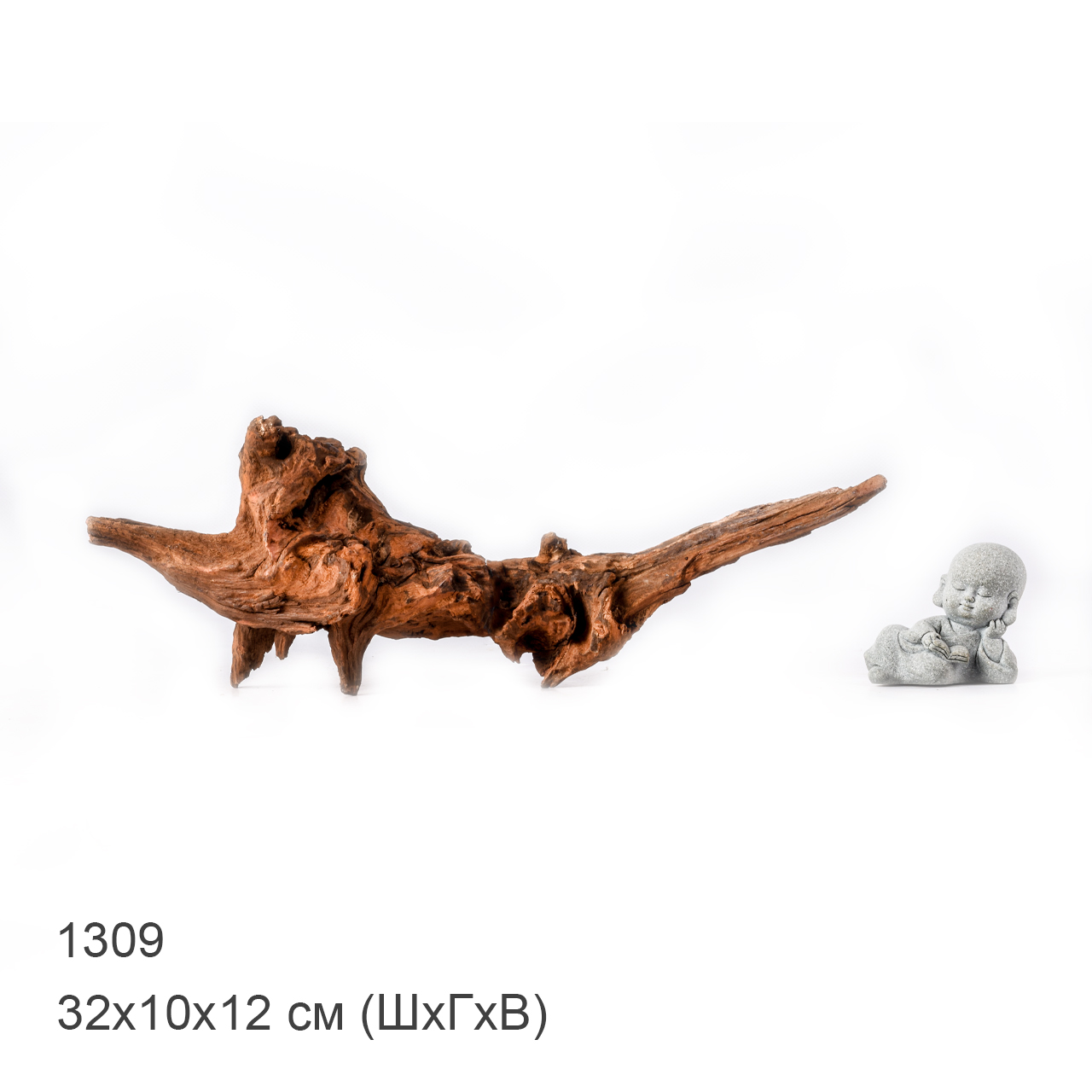 Коряга MASHA BLOOM "Железное дерево" затонувшая мангровая M - 1309