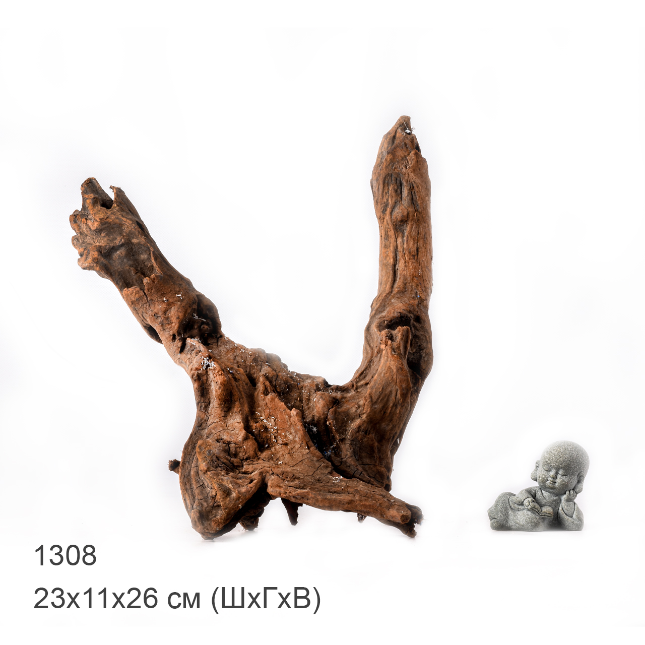 Коряга MASHA BLOOM "Железное дерево" затонувшая мангровая M - 1308