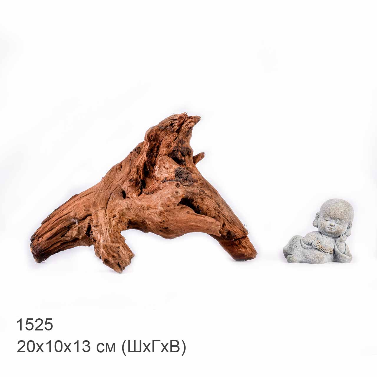 Коряга MASHA BLOOM "Железное дерево" затонувшая мангровая S - 1525