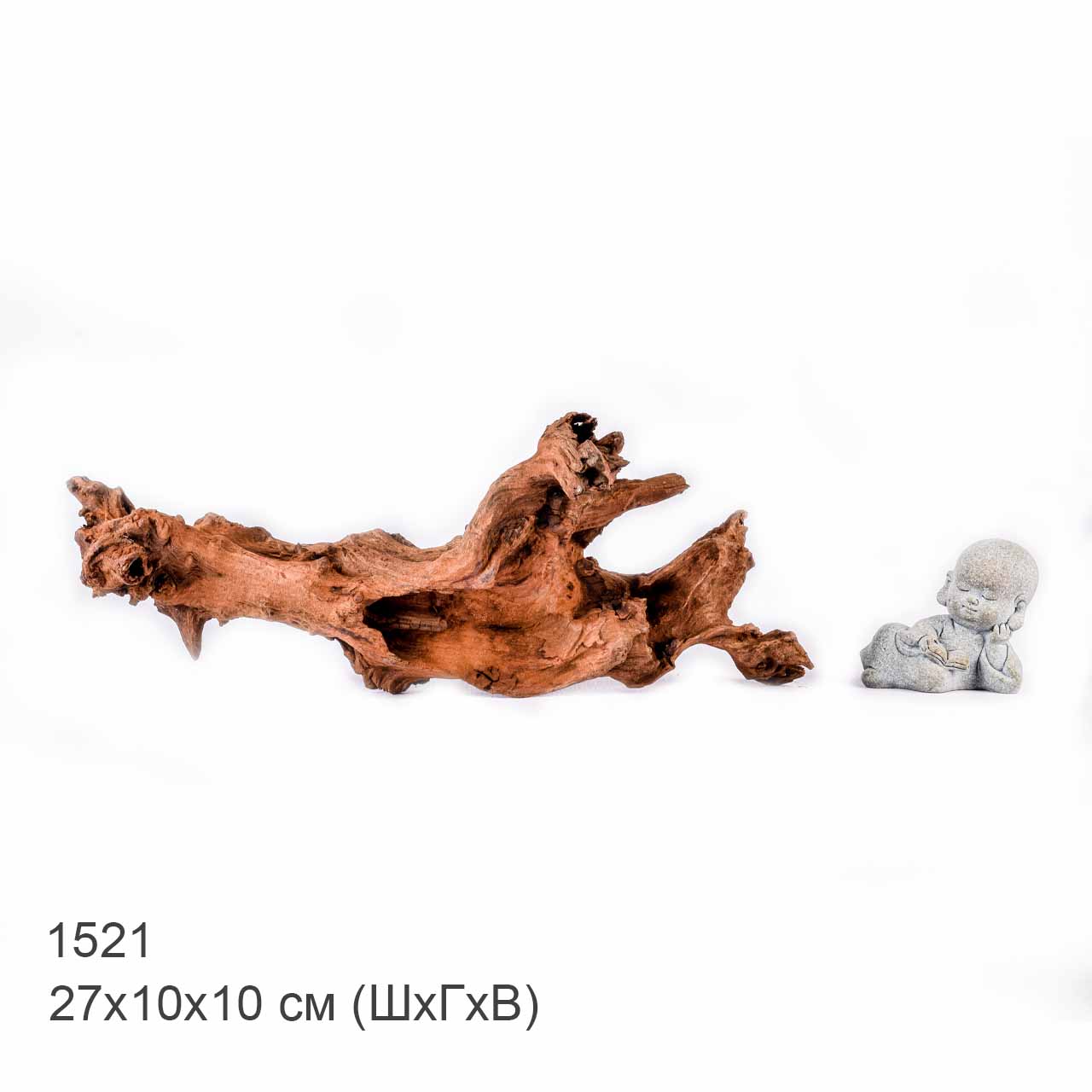 Коряга MASHA BLOOM "Железное дерево" затонувшая мангровая S - 1521