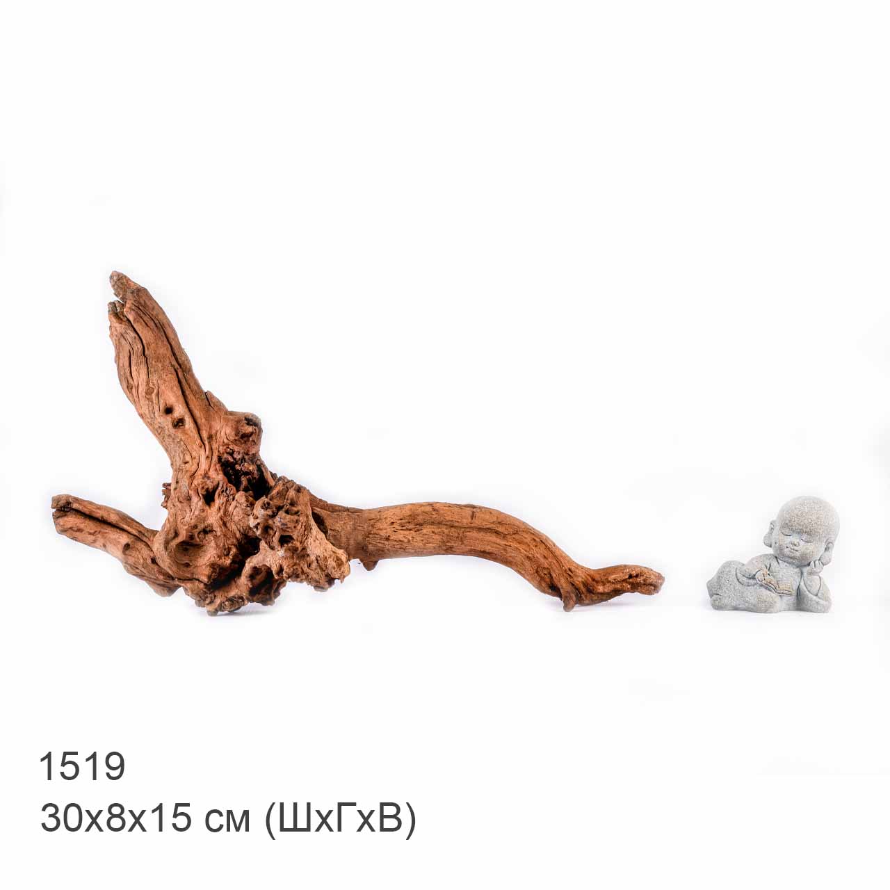 Коряга MASHA BLOOM "Железное дерево" затонувшая мангровая S - 1519